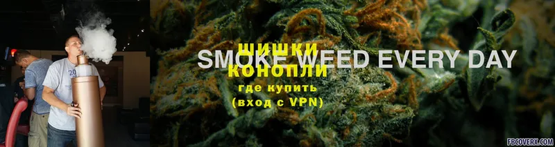 Бошки марихуана LSD WEED  закладка  Петровск 